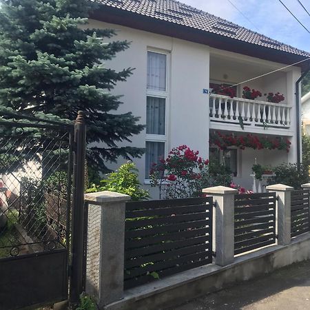 Pensiunea Grapini Sant Zewnętrze zdjęcie