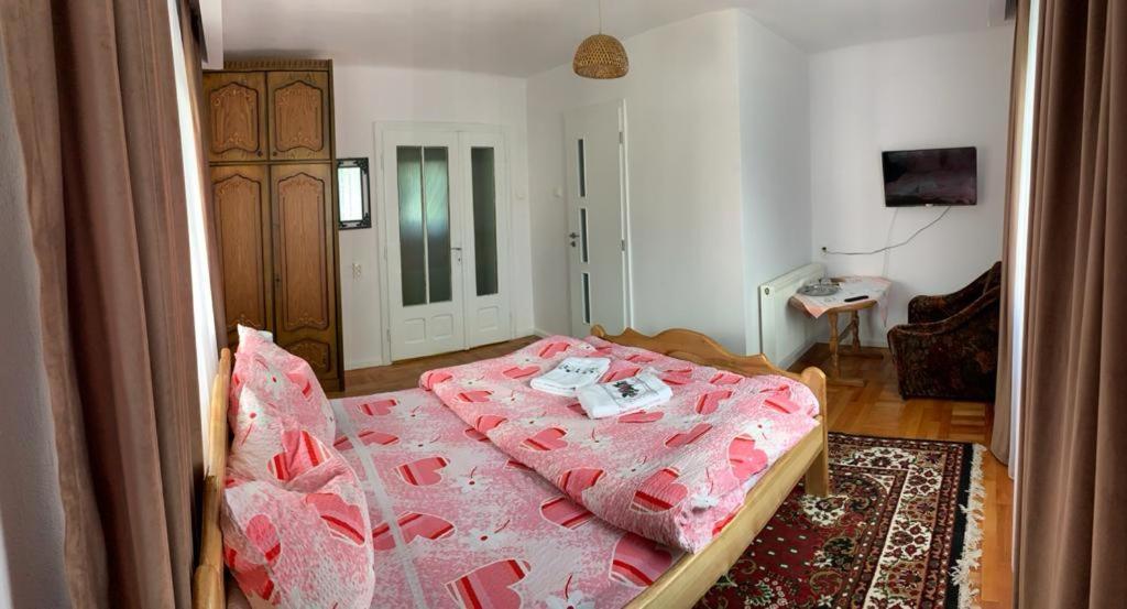 Pensiunea Grapini Sant Zewnętrze zdjęcie